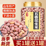 盛庆邦五香花生米山东莱西特产盐焗恰恰脱油烤花生米蒜香奶香下酒菜零食 五香+奶香花生米丨各1斤