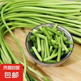 新鲜长蒜苔长度30cm粗细适中色泽饱满高品质蒜苔手感光滑 新鲜长蒜苔 250g