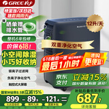 格力（GREE）【轻音小体积 空气净化】除湿机/抽湿机家用卧室客厅除湿器升级负离子净化适用面积24平DH12ENA1A