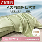 九洲鹿枕头套仿天丝枕套夏季凉枕芯套一对装 48*74cm双人整套枕芯外套