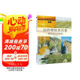 油画棒唯美风景绘制技法教程（绘客出品）