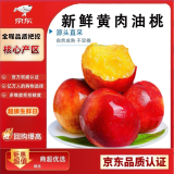 闽农语果黄肉油桃新鲜当季水果黄心油桃水果黄肉果子应季云南水果油桃 5斤【单果65g+】净重4.5斤 源头直采