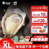 贝司令（BEISILING）【鲜活】乳山生态生蚝牡蛎贝类烧烤源头直发XL净重4斤端午聚餐