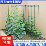 爬藤架葡萄架黄瓜豆角架种菜花支架庭院花卉植物支撑杆西红柿架杆 粗度8毫米长0.75米（10根）