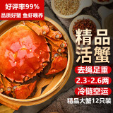 【活蟹】湖鲜阳澄 大闸蟹 去绳足重 2.3-2.6两 12只 鲜活六月黄现货超大螃蟹水产礼盒装