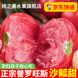 陕西泾阳普罗旺斯西红柿新鲜自然熟蔬菜草莓心水果当季沙瓤大番茄 精选普罗旺斯小果 5斤