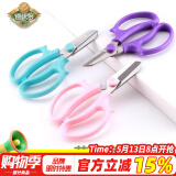 德沃多肥料园艺剪刀家用花艺剪修剪树枝粗枝剪玫瑰鲜花剪园艺花店修剪工具