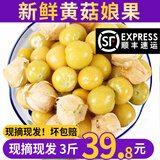 良知农哥【顺丰】东北新鲜洋菇娘果 新鲜黄姑娘果灯笼果菇凉果带箱 5斤