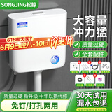 松鲸 免打孔水箱卫生间厕所冲水箱家用节能大冲力水箱蹲便器 经济款水箱+配件