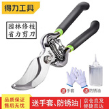 得力（deli）果树剪枝剪刀修枝剪省力剪子园林盆栽花卉园艺修剪树枝剪粗枝 碳钢花木剪DL2778