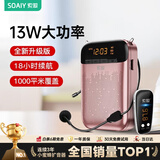 索爱（soaiy）S588FM无线小蜜蜂扩音器教师专用智能防啸叫13W大功率U盘麦克风喇叭户外便携蓝牙音箱收音机  金色