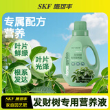 施可丰发财树营养液专用肥料叶子发黄掉叶杀菌治黄叶起斑烂根急救盆栽