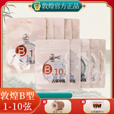 敦煌牌B型古筝琴弦1-10弦10根装赠10卷胶布胶布1套指甲