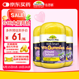 佳思敏（Nature's Way）儿童维C 黑接骨木免疫力VC软糖3瓶套装 60粒/瓶 2岁以上非礼盒