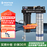 爱惠浦（Everpure）Combo-4FC-LS-plus抑垢除铅净水器矿物质净水机10000L直饮大流量净饮机