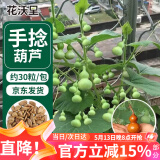 花沃里手捻葫芦种子30粒 花卉种子草籽家庭盆栽阳台办公庭院花坛种植