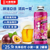川旗精酿果味啤酒花水果风味组合麦芽发酵聚会自饮整箱 百香果 1L 2罐