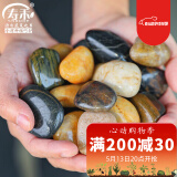 寿禾 鹅卵石石头大块水族箱鱼缸盆栽装饰铺路 2-4cm天然精抛鹅卵石1kg