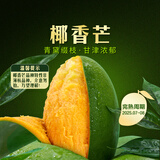 东方甄选椰香芒青芒芒果香甜皮薄多汁新鲜应季水果坏果包赔 【5斤装】单果200g+ 约8-12个 果核较大常温3-4天变软食用