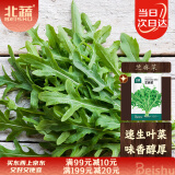 北蔬 芝麻菜种子种苗食用野菜火箭菜臭菜盆栽蔬菜籽 芝麻菜种子1000粒