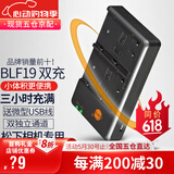 蒂森特适用于 松下DMC-GH3 G9 gh5S GH4 GH5一代电池 单反相机 BLF19 双槽 充电器 平板双槽充电器【送microUSB线】