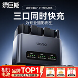 绿巨能（llano）佳能电池r50相机电池rp r10 r8 200d二代 r100 r50v 750d 760d 800d 850d lp-e17电池充电仓充电器 【30W快充】三充充电器