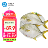 环球水产 冷冻南海二去金鲳鱼900g2条 去鳃去脏 深海鱼生鲜鱼类  家庭聚餐