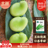 北蔬 蚕豆种子种苗兰花豆青豆四季蔬菜种籽 农家蚕豆种子50g约35粒