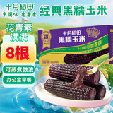 十月稻田 黑糯玉米1.76kg（220g*8根）东北紫玉米 花青素 杂粮礼盒