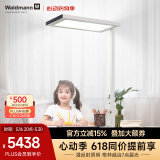 Waldmann德国沃达迈儿童台灯 学生钢琴学习阅读落地LED大路灯读写落地灯 CIDOO【11000流明】4000K暖白光
