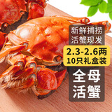 【活蟹】乾澄大闸蟹现货 全母蟹2.3-2.6两 10只 鲜活六月黄螃蟹生鲜海鲜礼盒装源头直发