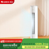 格力（GREE）2匹 京畅 新一级能效 变频冷暖 净菌自洁 立柜式空调柜机 KFR-50LW/(50587)FNhAc-B1(JDWIFI)