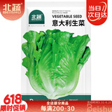 北蔬意大利生菜种子苗四季速生阳台种菜籽 意大利生菜种子3g约1800粒