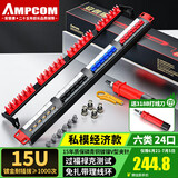 安普康（AMPCOM）配线架24口 六类网线配线架 机柜1U机架式CAT6类网络配线架 15U镀金过FLUKE链路测试 AMCAT61924