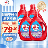 雕牌除菌馨香洗衣液20斤 整箱4瓶装 除菌99.9% 薰衣草香 不含磷