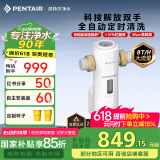 滨特尔（pentair）前置过滤器大通量家用全屋自来水管道40μm过滤器9吨/H大流量水驱涡轮+反冲洗刮洗净水器 【顶配】9T/H大流量S260全自动
