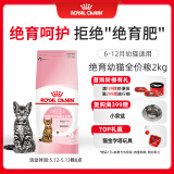 皇家绝育幼猫粮 KS34 通用粮 6-12月 2KG