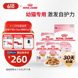 皇家皇家猫粮 幼猫猫粮 干湿搭配 K36 4.5kg+啫喱肉冻KJP 85G*3