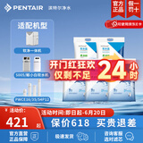 滨特尔（pentair） 滨润软水机高纯度高效通用软水盐离子交换树脂再生剂 5袋盐共50kg