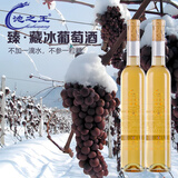 池之王冰白葡萄酒臻藏威代尔冰酒送礼微醺甜型375ML红酒白葡萄酒甜酒 2瓶