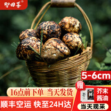 智田喜雅江松茸新鲜高品质未开伞松茸菌菇野冷链空运多地次日达生日送礼 未开伞松茸5-6cm 净重 250g 统货直发
