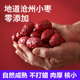 宅厚园 沧州红枣特产小枣500克/袋 优质干枣益气血泡水煮粥孕妇零食 500克 x2袋