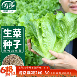 寿禾意大利生菜种子种苗青菜蔬菜种籽 潍育意大利全年生菜王种子10g