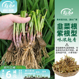 寿禾 蔬菜苗活苗带土发货大全菜苗种苗春夏各种秧苗山东寿光苗子阳台 紫根韭菜根苗300棵+3包50g肥
