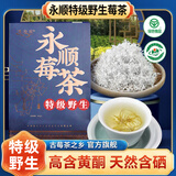 佰利红叶莓茶特级野生张家界降2025新茶张美丽湖南永顺三高霉藤茶正宗土家