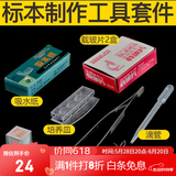 萨伽（SAGA）高清显微镜标本切片套装植物动物细胞实验六一儿童节男孩女孩礼物 标本制作工具套件
