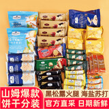 MEMBER’S MARK零食大礼包礼盒热门爆款饼干分装套餐不重样独立包装山下午茶姆 尝鲜饼干组合【10件装】