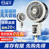 扬子电风扇空气循环扇落地家用卧室客厅宿舍台式桌面电扇 机械款-不摇头