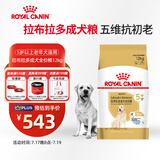 皇家狗粮 拉布拉多老年犬狗粮 宠物大型犬 SLR30 全价犬粮 ≥5岁 12KG