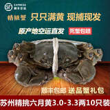 【活蟹】碧水阳澄大闸蟹 蟹鲜活螃蟹公蟹母蟹可全母生鲜礼盒 礼盒装